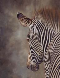 Zebra Side Final | Obraz na stenu