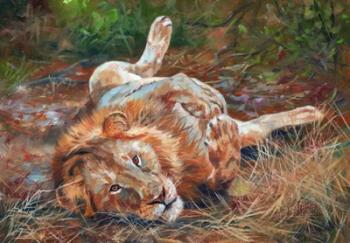 Lion On Back | Obraz na stenu