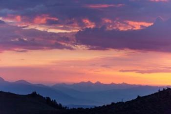 Mammoth And Ancient Bristlecone | Obraz na stenu