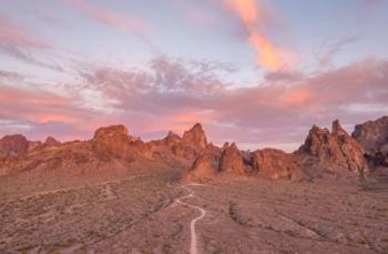 Kofa Sunset | Obraz na stenu