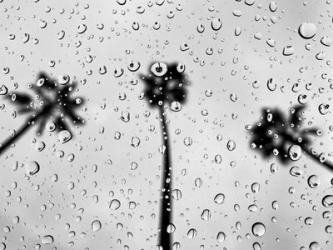 Rainy Daze | Obraz na stenu