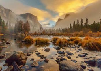Yosemite Park | Obraz na stenu