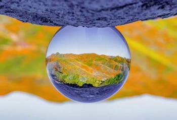 Reflective Orb | Obraz na stenu