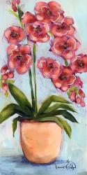 Orchids | Obraz na stenu