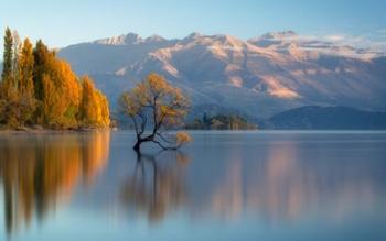 Wanaka | Obraz na stenu