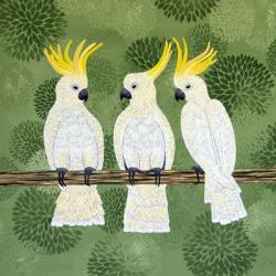 Cockatoo Trio | Obraz na stenu