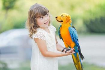 Girl and Parrotpup | Obraz na stenu