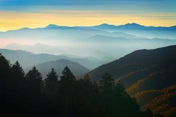 Autumn Mist at Newfound Gap | Obraz na stenu