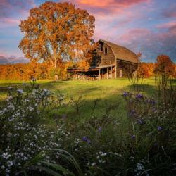 Autumn Sunset by the Barn | Obraz na stenu
