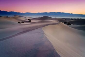 Into The Dunes | Obraz na stenu