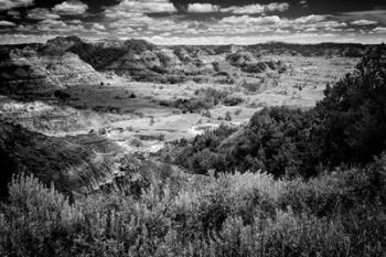 Little Missouri Badlands B&W | Obraz na stenu