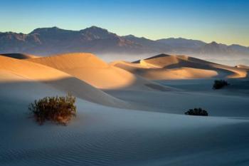 Mesquite Dunes | Obraz na stenu