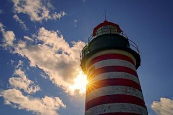 Shining Through at West Quoddy Head | Obraz na stenu