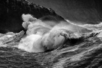 Siren's Song III B&W | Obraz na stenu