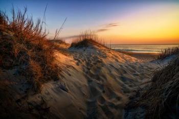 Dawn in the Outer Banks | Obraz na stenu