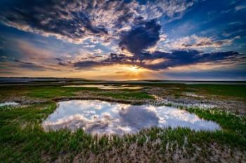 Paines Creek Reflections | Obraz na stenu