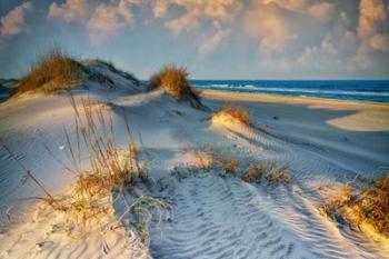 The Dunes of OBX | Obraz na stenu