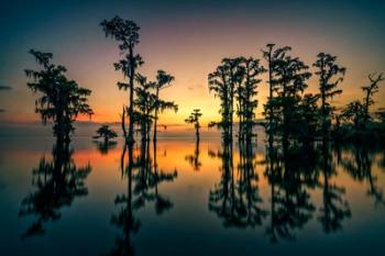 Dawn on Lake Maurepas | Obraz na stenu