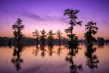 Lake Martin Twilight | Obraz na stenu