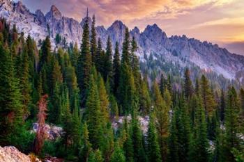 Morning in the Sawtooths | Obraz na stenu