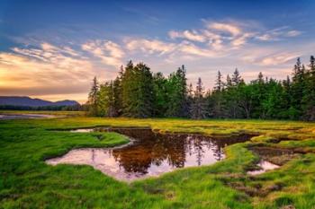 Spring Evening at Bass Harbor Marsh | Obraz na stenu