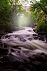 Spring Flow at Duck Brook | Obraz na stenu