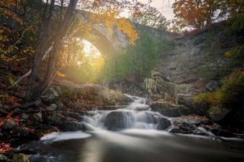 Autumn at Duck Brook Bridge | Obraz na stenu