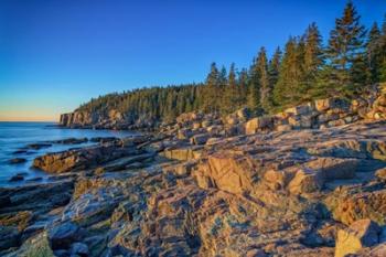 Clear Morning in Acadia | Obraz na stenu