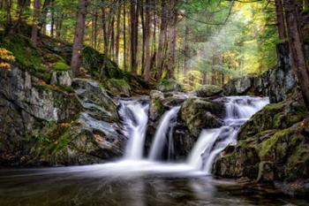 Hancock Brook Falls | Obraz na stenu