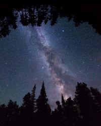 Montana Sky Trees | Obraz na stenu