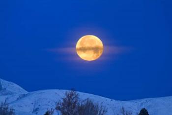 Moonset Oquirrh Mountain 1219 | Obraz na stenu