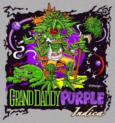 Granddaddy Purple | Obraz na stenu
