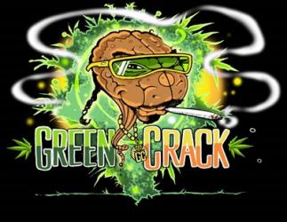 Green Crack | Obraz na stenu