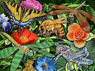 Insects | Obraz na stenu