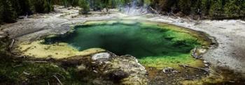 West Thumb Emerald Pool | Obraz na stenu