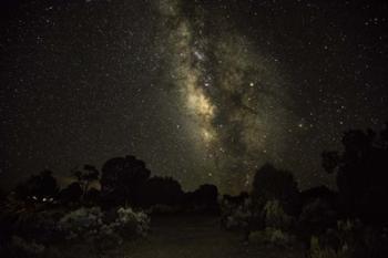 Stargazer 5 | Obraz na stenu