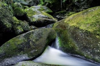 Green Rock River | Obraz na stenu