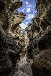 Slot Canyon Utah 11 | Obraz na stenu