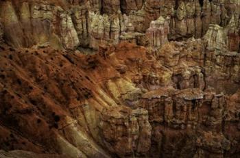 Bryce Canyon Stones | Obraz na stenu