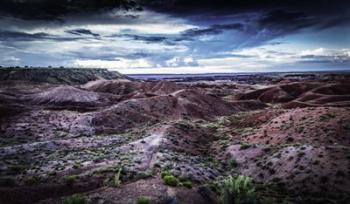 Painted Desert | Obraz na stenu