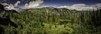 Mt Rainier Panorama | Obraz na stenu