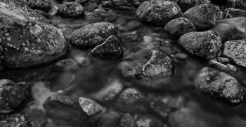 River Rocks 2 Black & White | Obraz na stenu