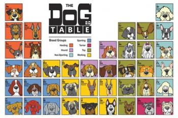 The Dog Table | Obraz na stenu