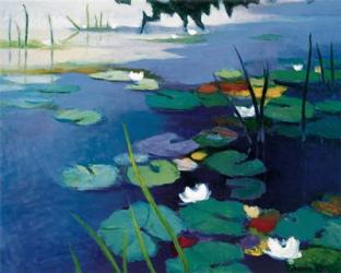 Water Lilies | Obraz na stenu