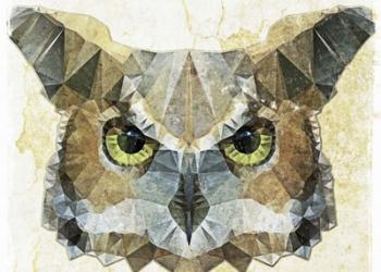 Abstract Owl | Obraz na stenu