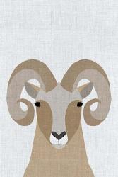 Bighorn Sheep | Obraz na stenu