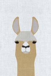 Llama | Obraz na stenu