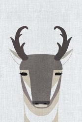 Pronghorn Antelope | Obraz na stenu