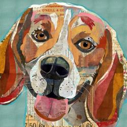 Beagle | Obraz na stenu