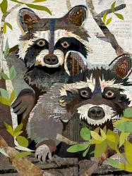 Raccoons | Obraz na stenu